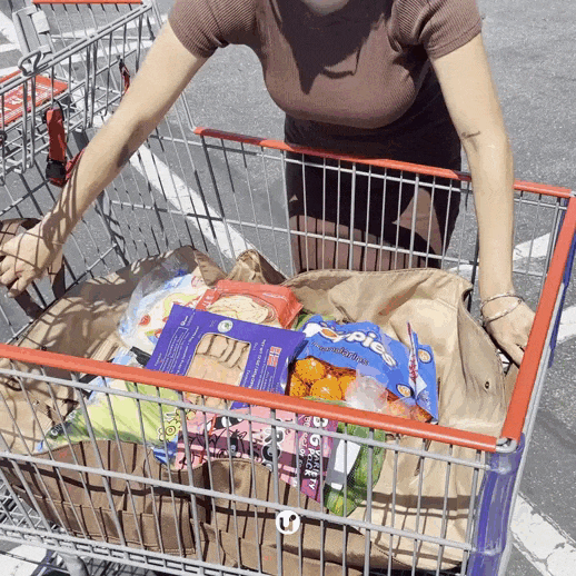 Bolsa Expansível Dobrável para Compras e Viagens